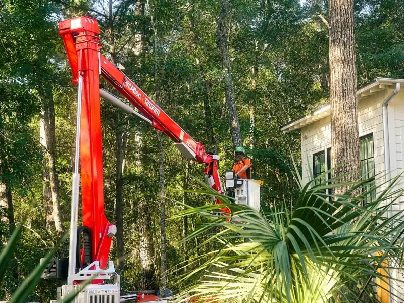 Crane-assisted tree removal service in action, ensuring safe tree care.