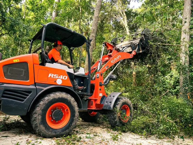Debris cleanup after large oak tree removal in Midway, showing the thoroughness of the service provided.