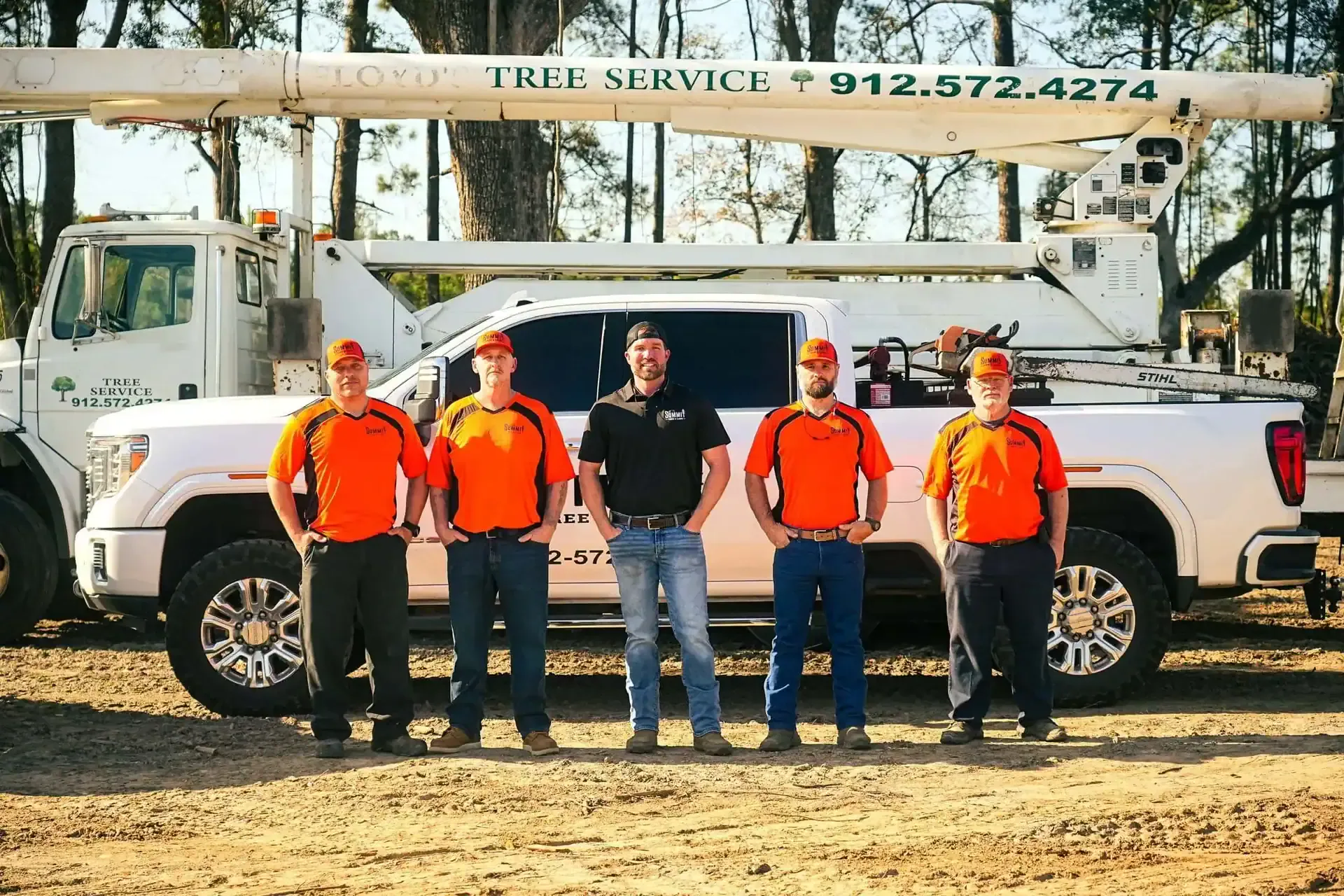 Summit Tree and Land Solutions offers professional tree care services.