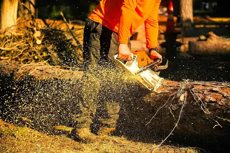 Crew performing safe tree removal from a residential area in Midway, Georgia.