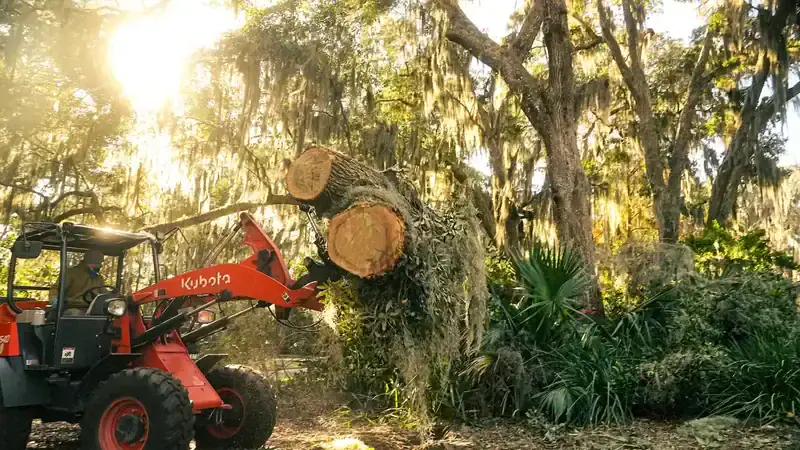 Emergency response team clearing fallen branches and trees after a storm in Coastal Georgia.