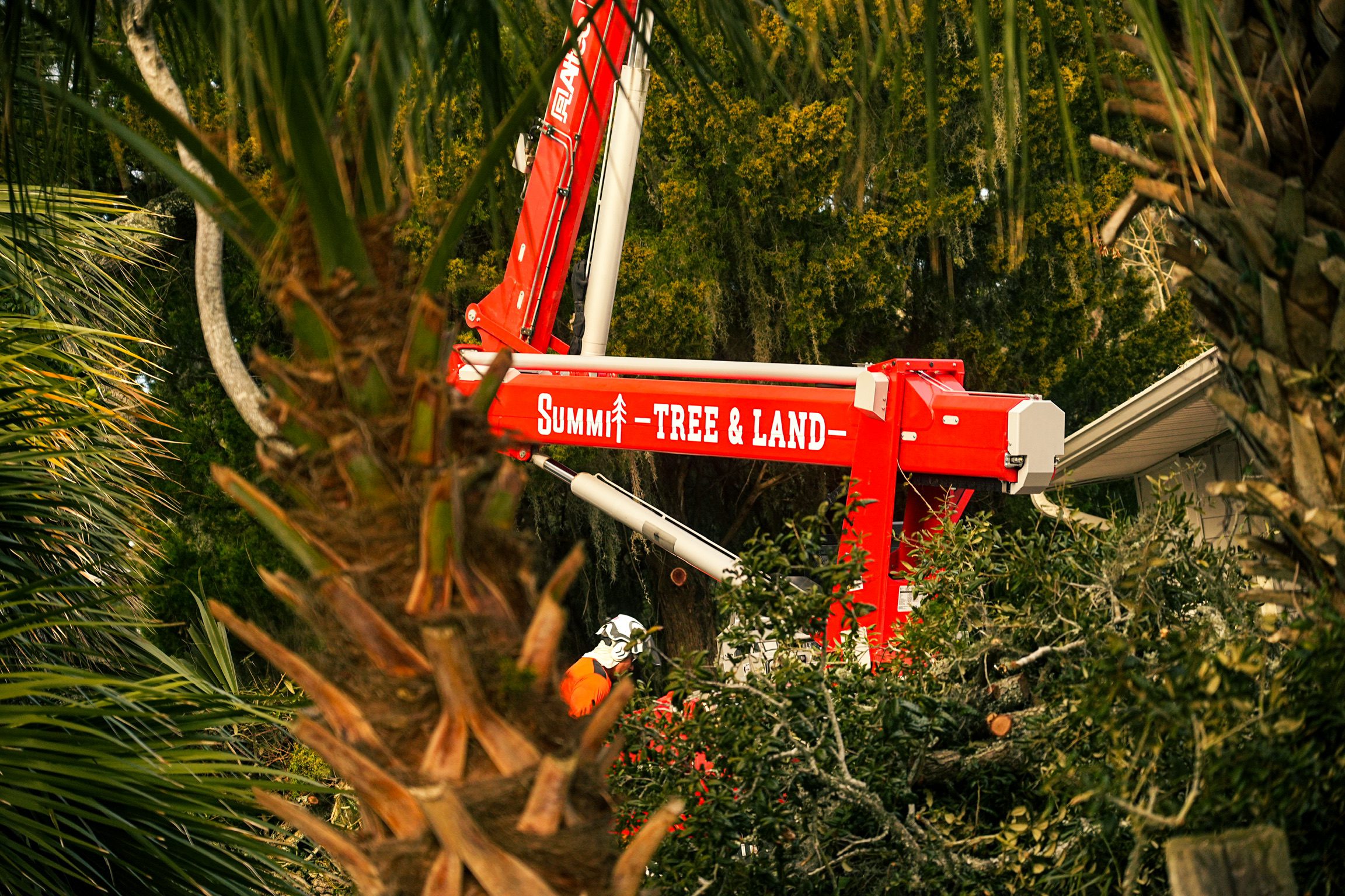 Guide on crane-assisted tree removal for large trees near homes in Coastal Georgia.