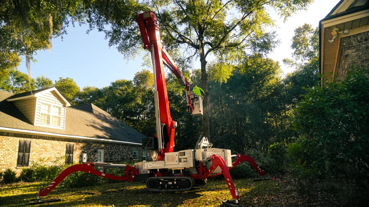 Oak tree removal and stump grinding in Midway GA backyard