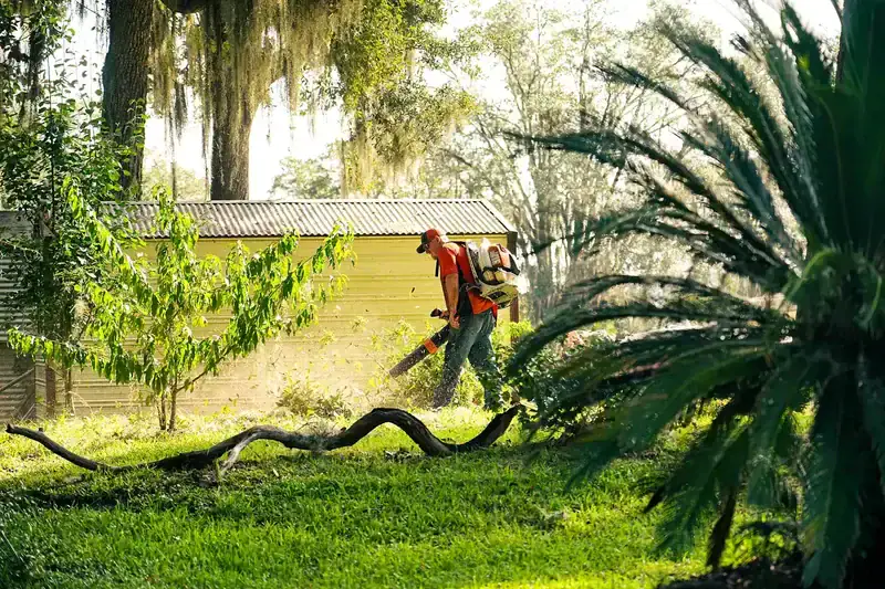 Summit Tree and Land Solutions crew performing professional tree removal in Jesup, GA